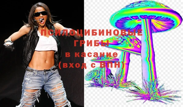 PSILOCYBIN Богородицк