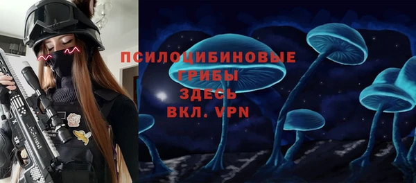 твердый Богданович