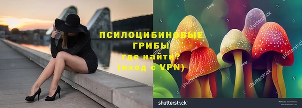 кокс Бородино
