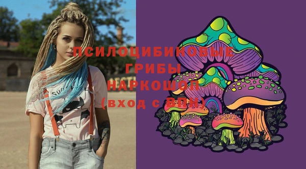 кокс Бородино