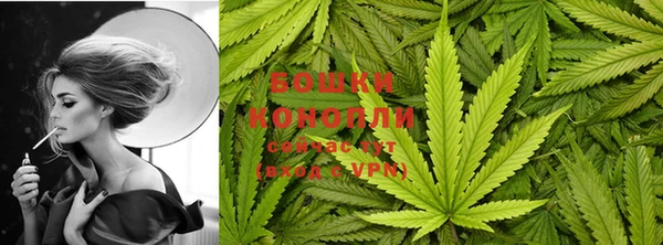 стафф Бронницы