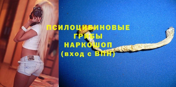 стафф Бронницы