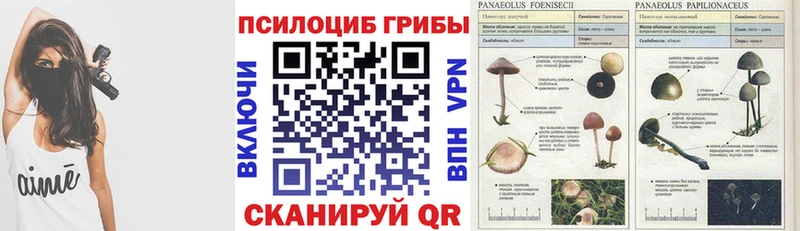 Псилоцибиновые грибы ЛСД  Дивногорск 